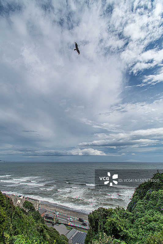 日本神奈川海滩上空飞舞的风筝图片素材