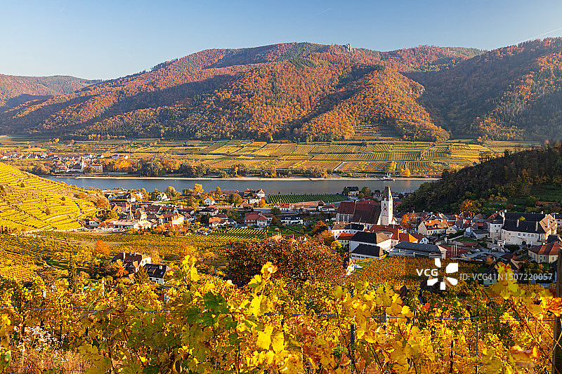 奥地利瓦豪山谷，施皮茨周围秋季葡萄园全景图片素材