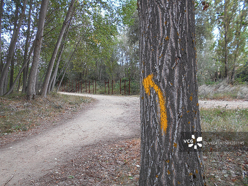 黄色箭头图片素材