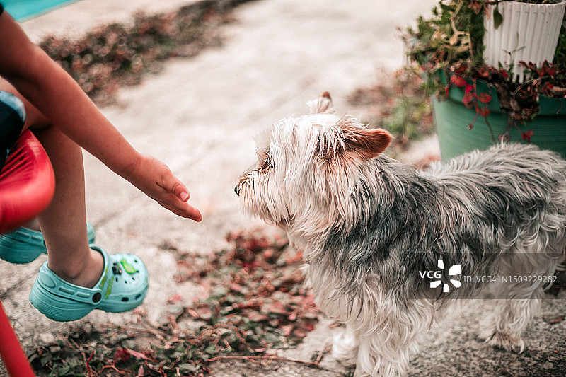 儿童抚摸小狗图片素材