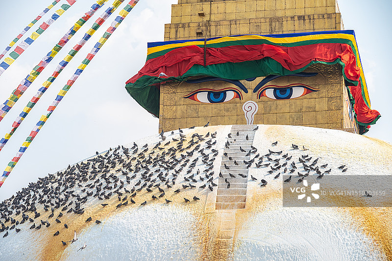 尼泊尔加德满都的博大哈佛塔图片素材