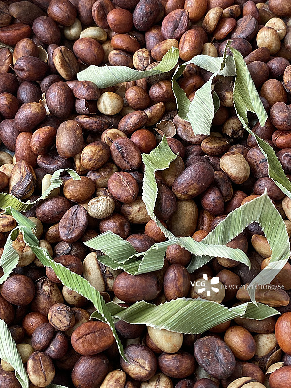 罗布斯塔咖啡豆特写图片素材