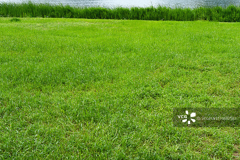 草坪上图片素材