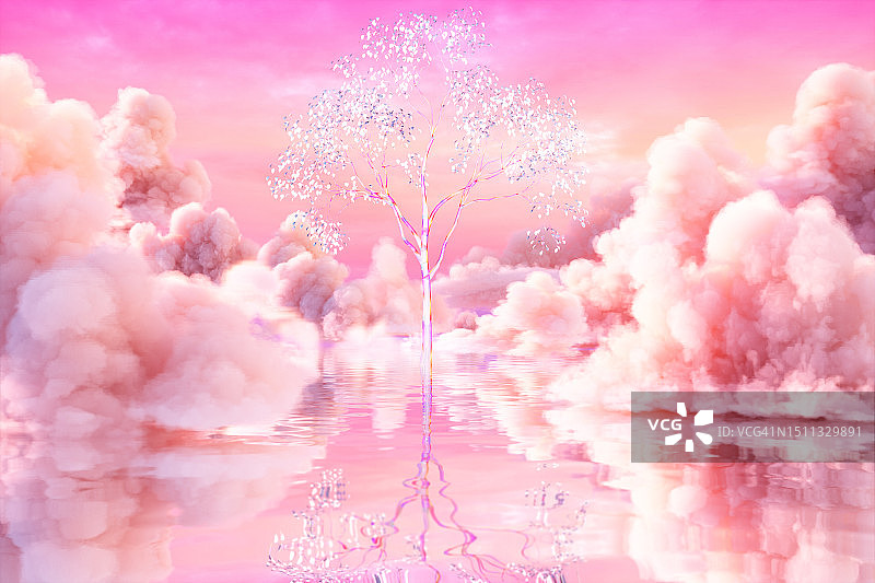 云雾中的树图片素材