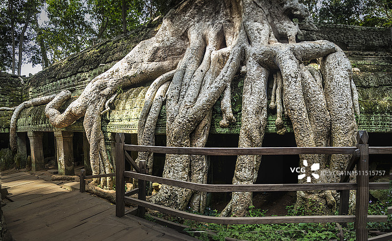 柬埔寨吴哥窟塔布笼寺图片素材