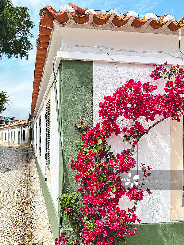 卡斯卡伊斯住宅图片素材