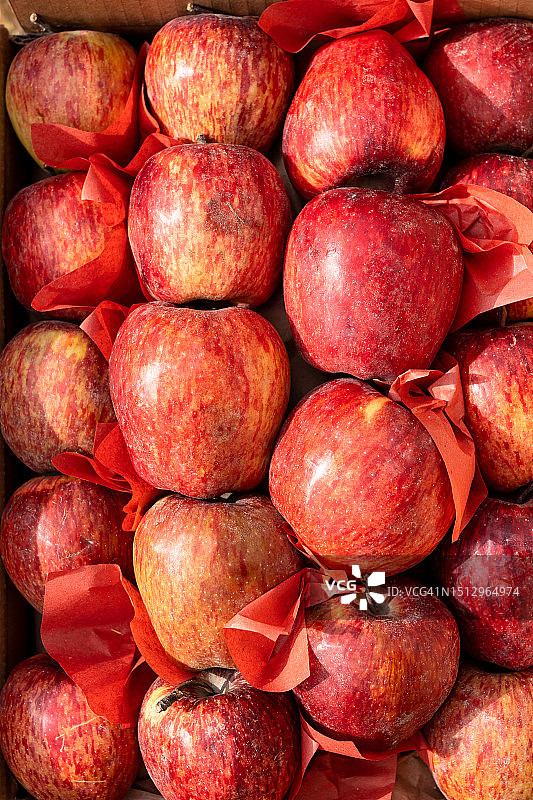 红色嘎啦苹果特写图片素材