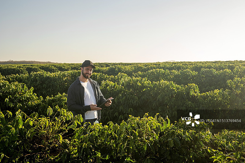 在咖啡种植园里的男人图片素材