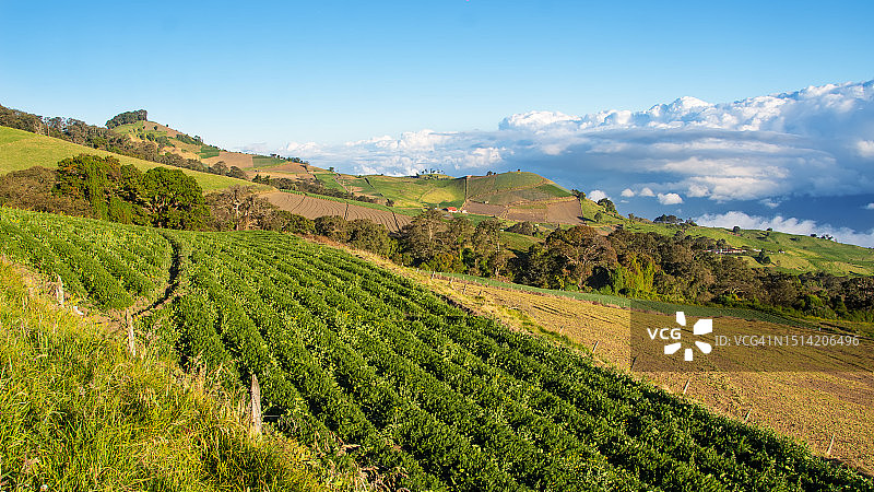 日落时分的农田景观图片素材