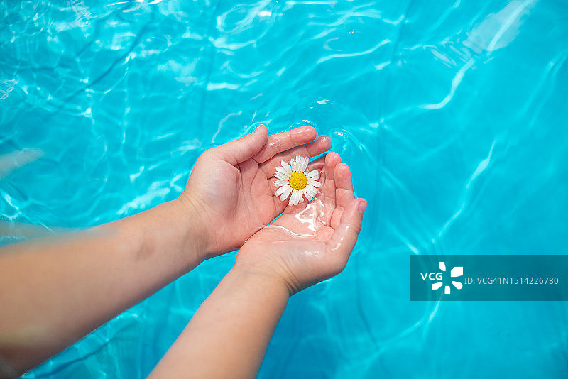 孩子们的手拿着一朵在阳光照射的泳池水中图片素材