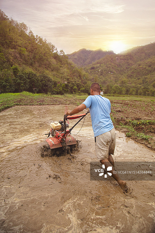 印度男子用手扶旋耕机准备稻田图片素材