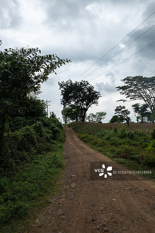 空旷的土路，周围是草地、作物、树木、植物和铁丝网图片素材