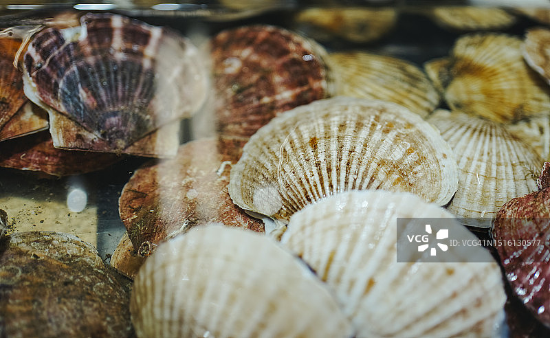 日本料理新鲜食材特写：阿拉斯加帝王蟹和鳕场蟹图片素材