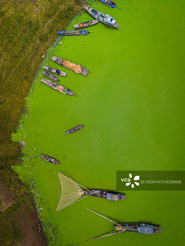 越南Tri An湖Ben Nom渔村鸟瞰，绿藻季的清新景象，传统渔船停泊图片素材