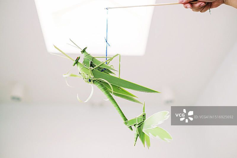 椰子叶蚱蜢编织工艺图片素材