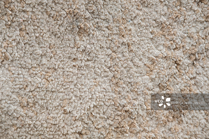 米色地毯纹理特写图片素材