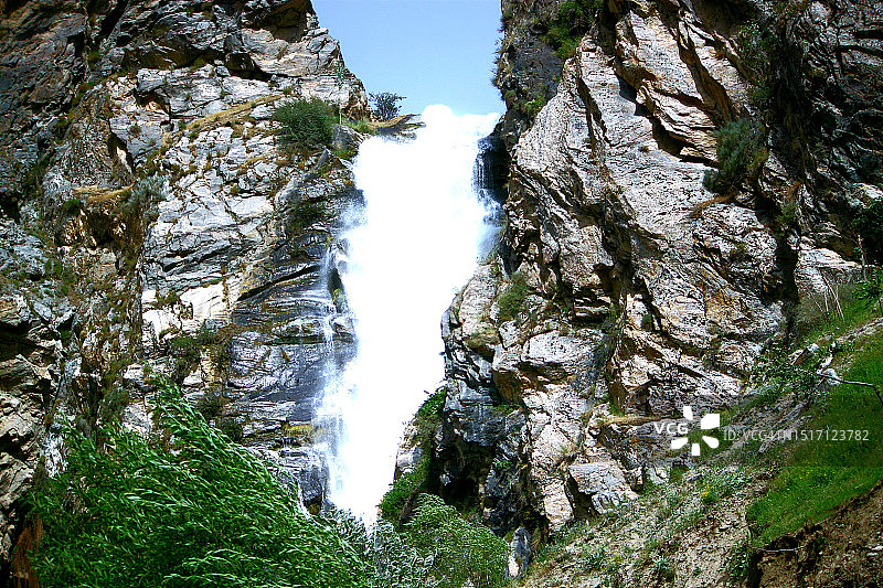 树木与天空的低角度视图图片素材
