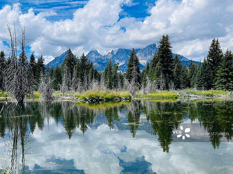 美国树木湖泊的风景图片素材