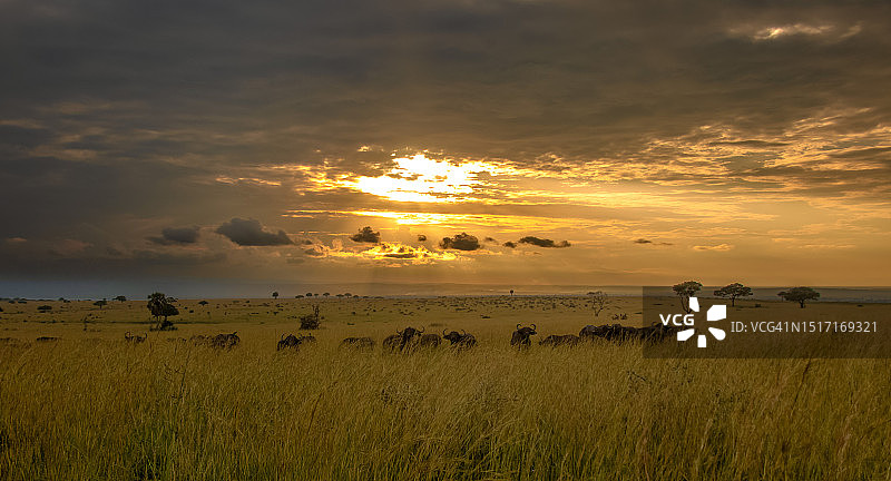 日落时田野对着天空的风景图片素材