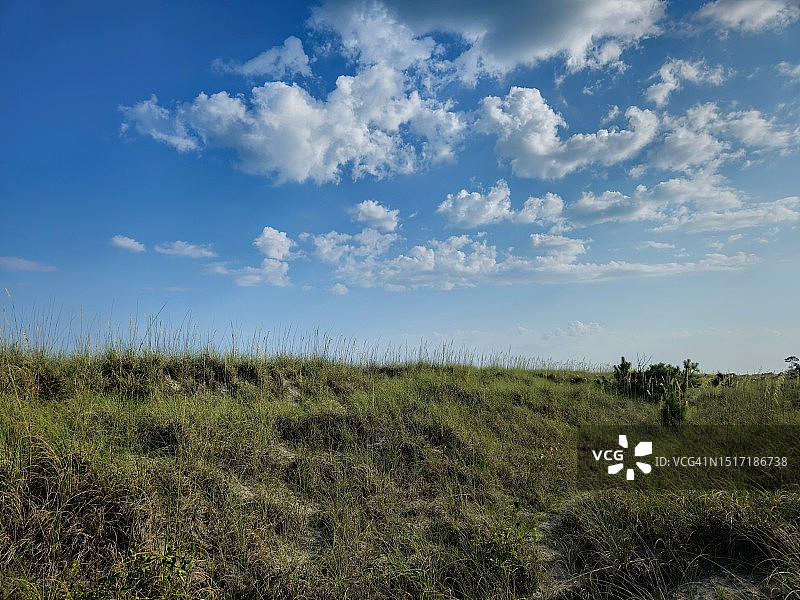 美国南卡罗来纳州博福特县的田野风光图片素材
