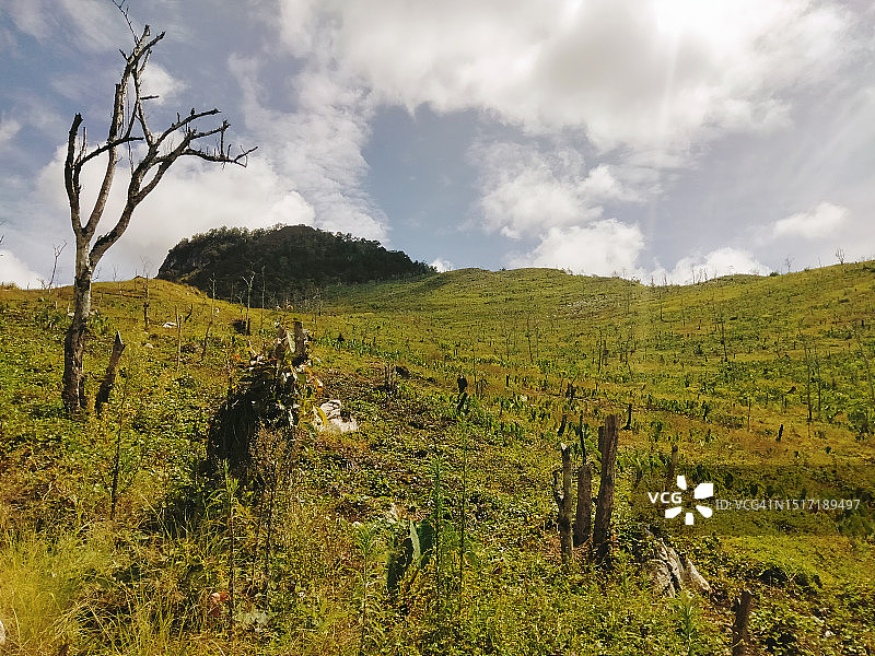 天空衬托下的田野风景图片素材