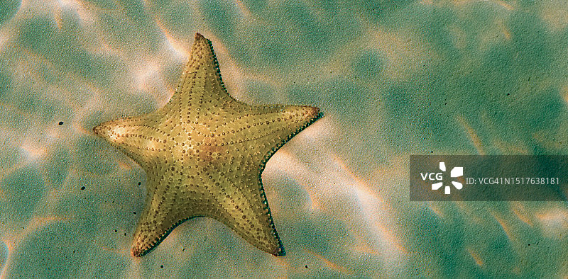 牙买加内格里尔海床上的海盘车图片素材