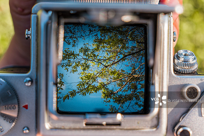 相机取景器中的蓝天和树叶图片素材
