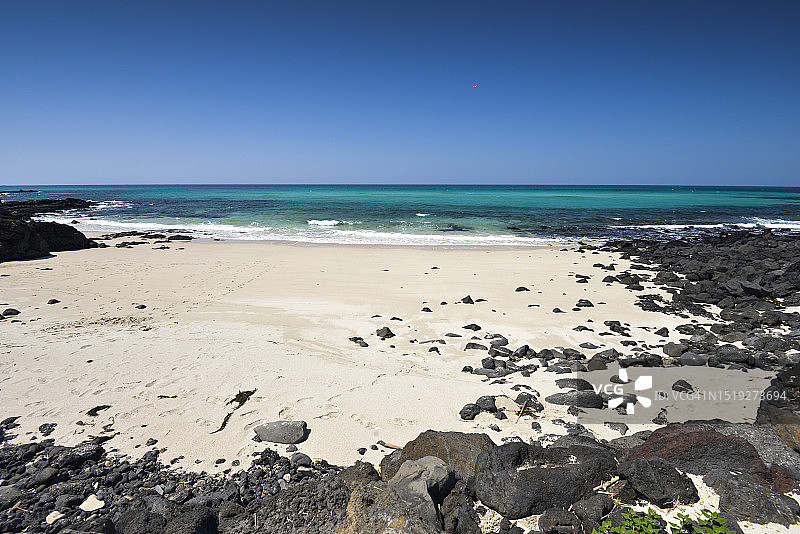 济州岛济州市月령里仙人掌群落图片素材