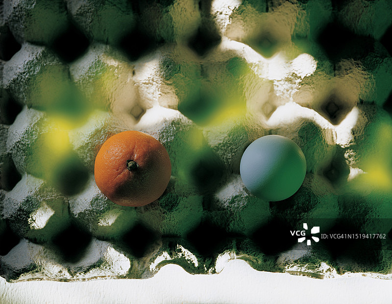橙子、鸡蛋图片素材