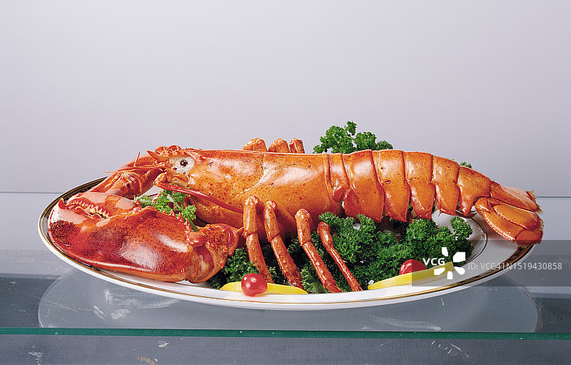 龙虾图片素材