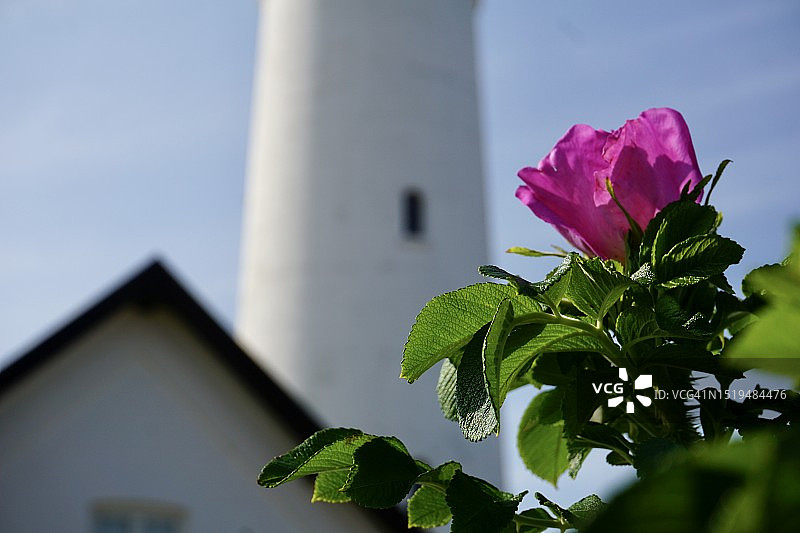 斯滕比约格顶部的希茨海尔斯灯塔是该镇美丽的地标图片素材