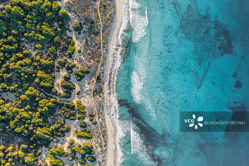 大海茂盛海岸线航拍图片素材