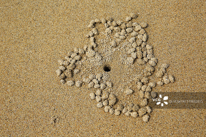 斯氏 Ocypode 蟹的穴居沙洲图片素材