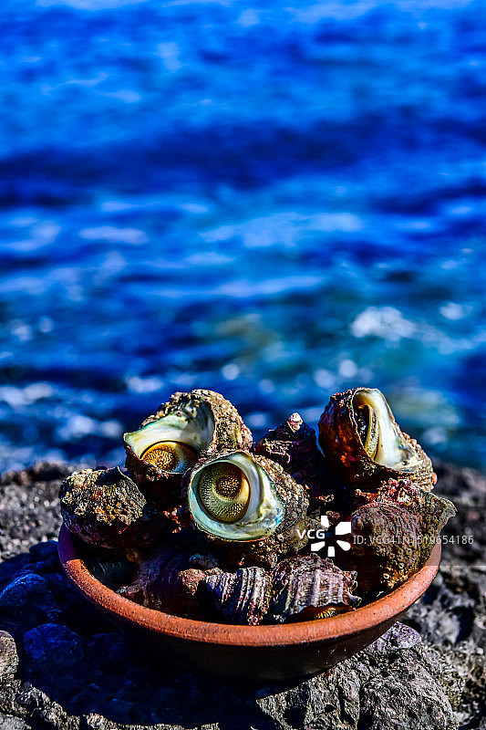 大海，海边岩石，海螺图片素材