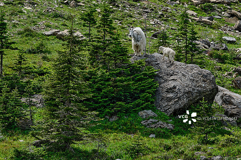 冰川国家公园洛根通道图片素材