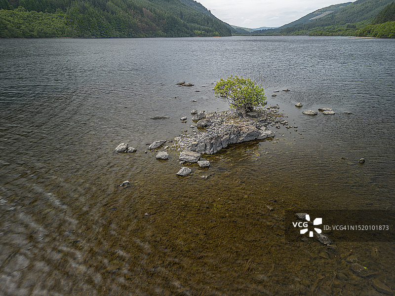 湖中的小树图片素材