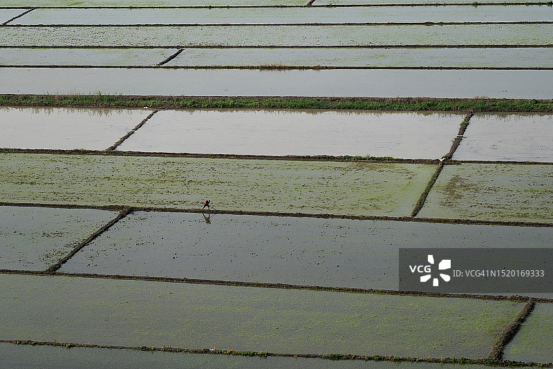 从上方俯瞰奥斯曼吉克地区稻田的灌溉景观图片素材