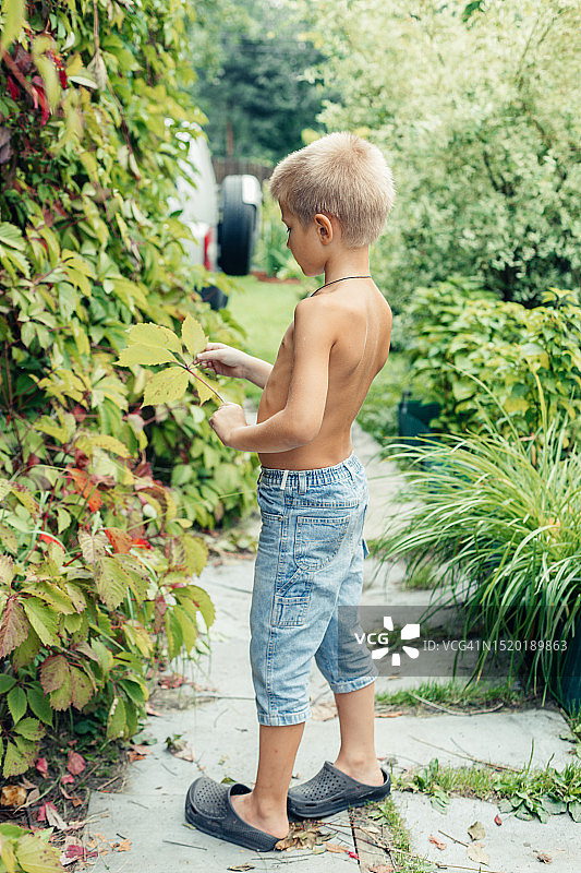 穿着短裤的男孩站在乡间小屋旁鲜花盛开的小巷里图片素材