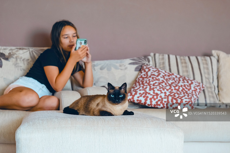 少女和猫在家放松地坐在沙发上，用手机与朋友进行视频通话图片素材