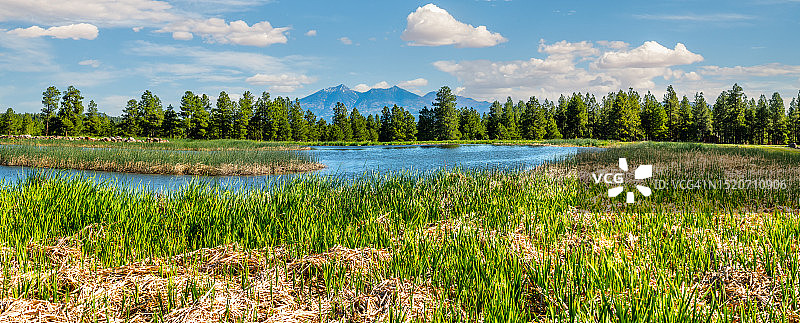 卡奇纳湿地图片素材