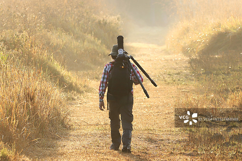 日出时分的户外摄影师：手持带长焦镜头的数码相机和三脚架拍摄野生动物特写图片素材