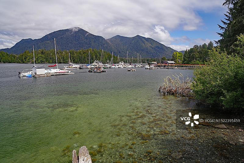 海湾中的清澈透明海水与小型游船,托菲诺,原始森林,国家公园,太平洋,温哥华岛,加拿大不列颠哥伦比亚省图片素材