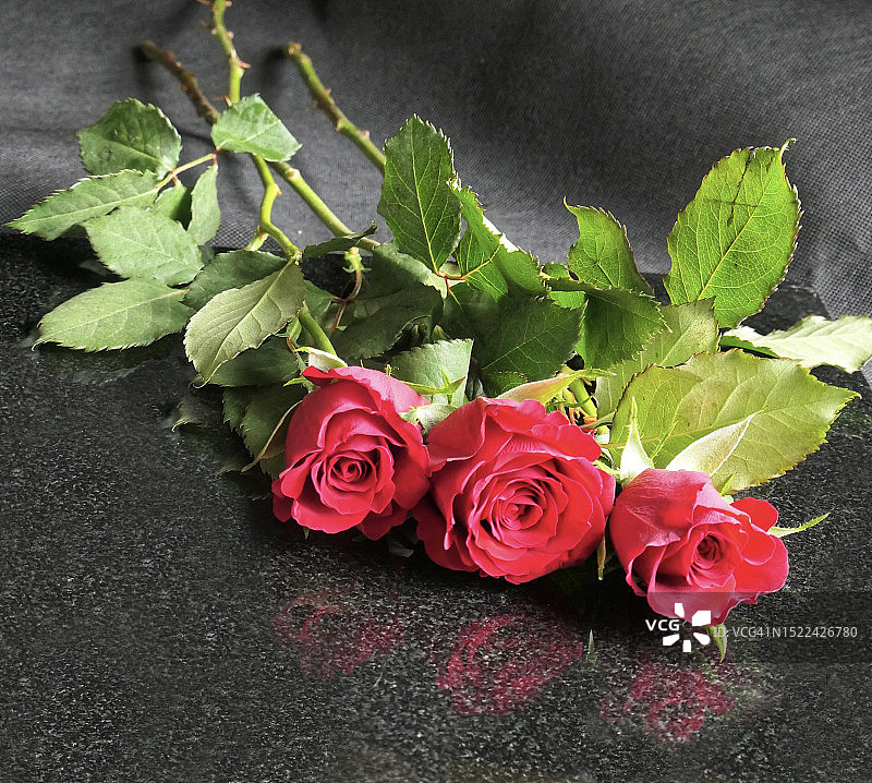 桌上的玫瑰花特写，英国切斯特图片素材