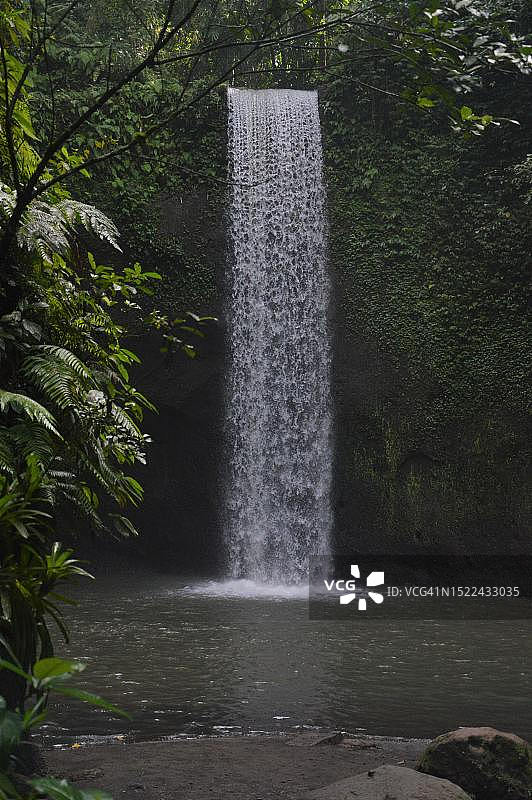 森林中瀑布的美景图片素材