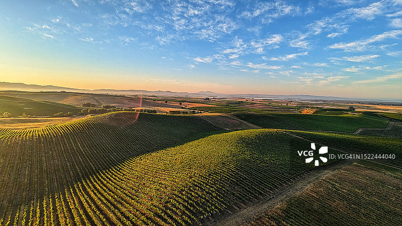 美国加利福尼亚州索诺玛县农业田地的航拍景色图片素材