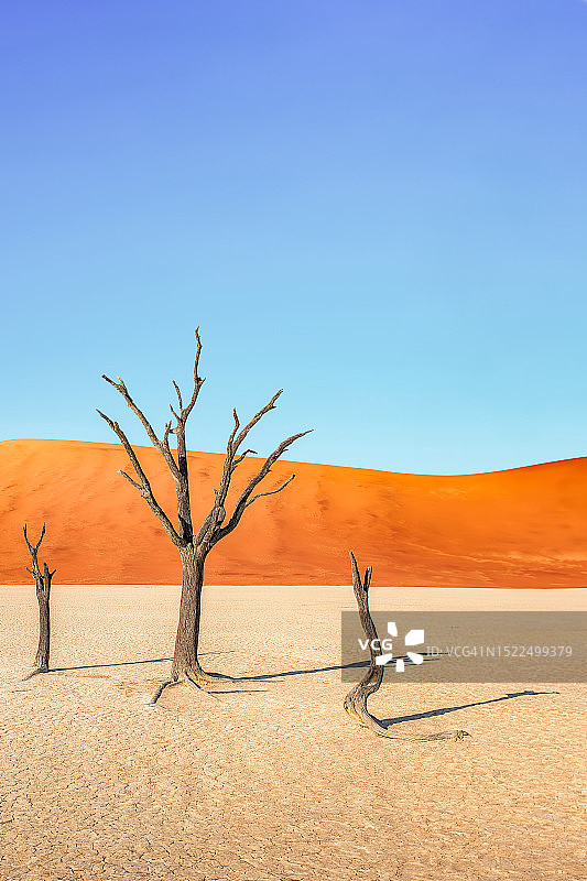 纳米比亚死亡谷图片素材