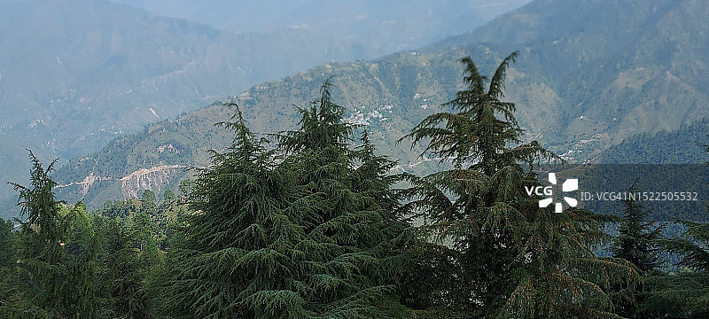 印度北阿坎德邦山脉松树图片素材