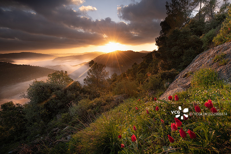 以色列耶路撒冷日落山景图片素材