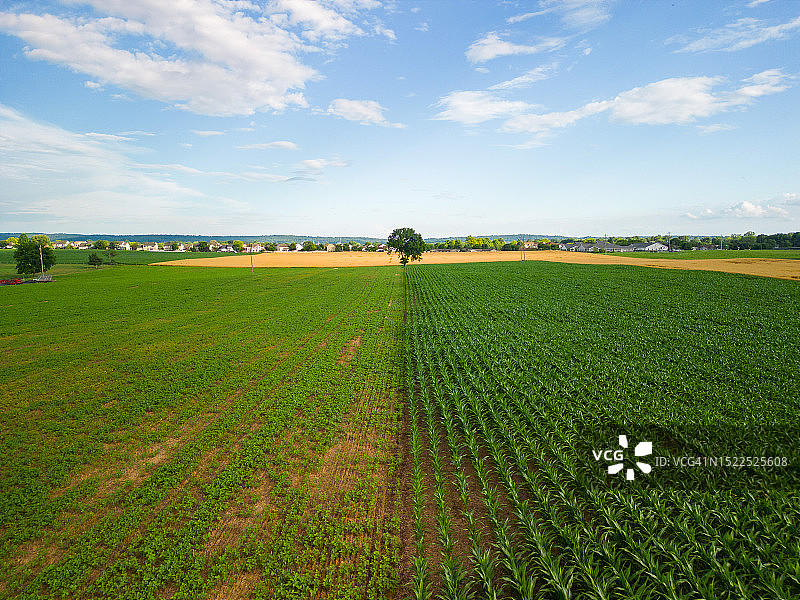 美国宾夕法尼亚州棕榈拉的田野风光图片素材