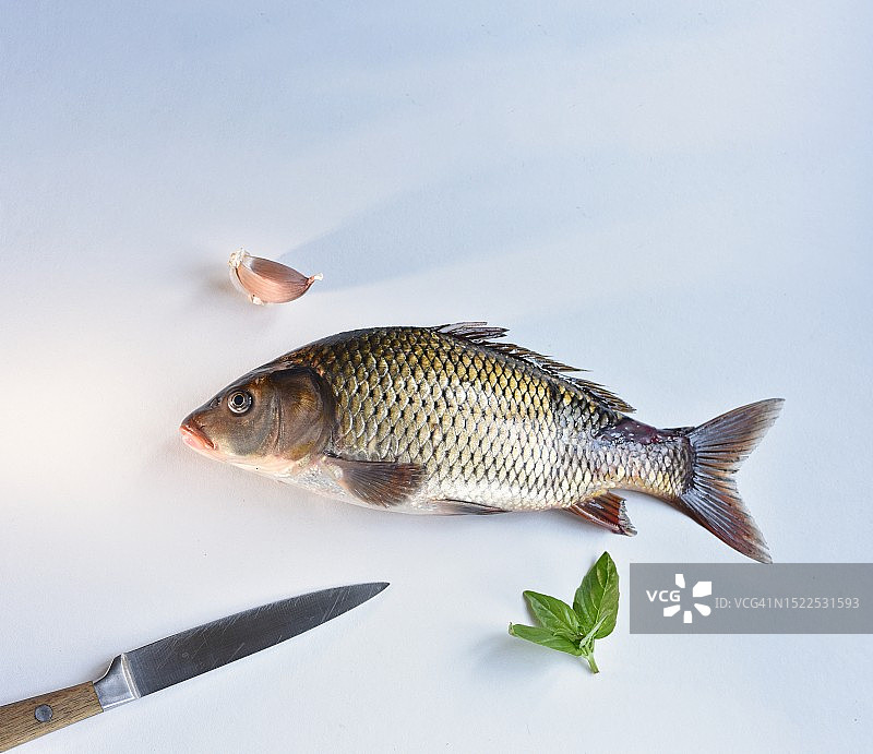 法国白色背景上的淡水鱼高角度视图图片素材